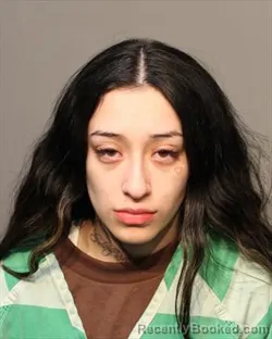 Booking photo from Polk County, Iowa