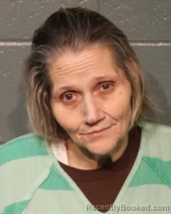 Mugshot of SUSAN MARIE LILLY