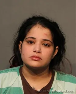 Mugshot of ALICEA PACHECO NEDHLIANN TAISH