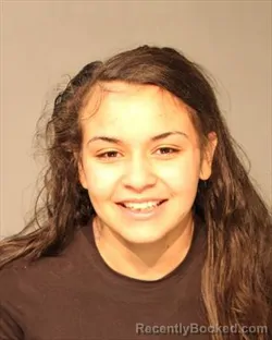 Mugshot of ANASTASYA IRENE HALE booked in Polk County, Iowa on June 27, 2026