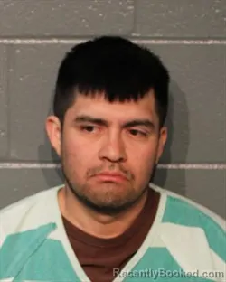 Mugshot of LUIS FELIPE LEYVA CASTREJON