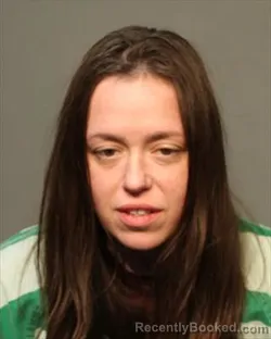 Mugshot of BRIANA MICHELLE ANDREW booked in Polk County, Iowa on March 17, 2026