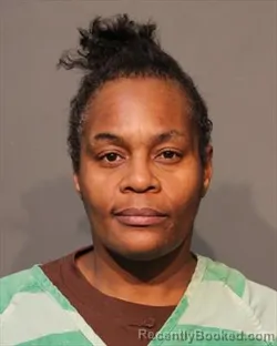 Mugshot of TAMARA CAMILL FRANCIS booked in Polk County, Iowa on March 9, 2026