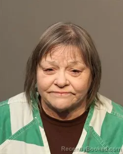 Mugshot of MICHELLE MARION TINLIN