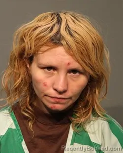 Mugshot of Ashley Dawn Welton booked in Polk County, Iowa on August 24, 2026
