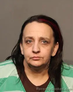 Mugshot of ERIN FAY JORGENSEN booked in Polk County, Iowa on July 8, 2026