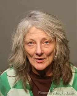 Mugshot of Dawn Marie Ries