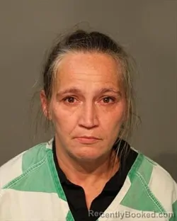 Mugshot of Shawn Marie Pinegar booked in Polk County, Iowa on September 10, 2026
