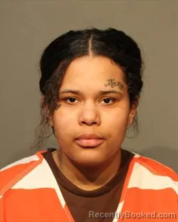 Booking photo from Polk County, Iowa