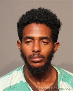 Mugshot of ABLELOM TESFALEM MEHARI