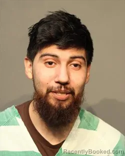 Mugshot of HERNAN ALVAREZ