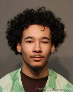 Mugshot of DEDRICK O`BRIAN MITCHELL