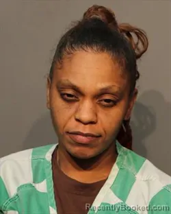 Mugshot of RONEASHA MARIE SHAU BROOKS