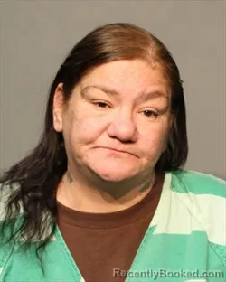 Mugshot of RAQUEL PHILOMENA FERNANDEZ