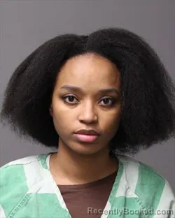 Mugshot of SHAKEIMA SHAWNETTA FIELDS
