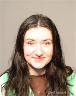 Booking photo from Polk County, Iowa