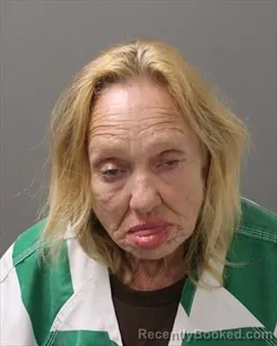 Mugshot of RHONDA KARLENE LEWIS booked in Polk County, Iowa on July 8, 2026
