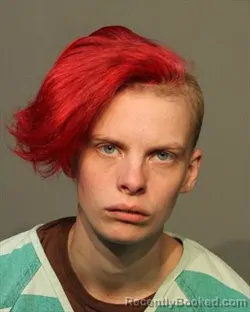 Mugshot of CHEYENNE JEAN WILLIAMS