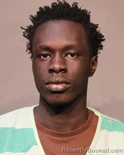 Mugshot of BAAR THUOK JIENG