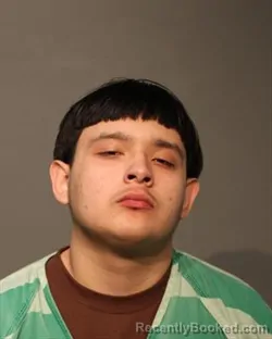 Mugshot of ZEWS LOPEZ
