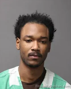 Mugshot of STEVEN CARL JR WILLIAMS