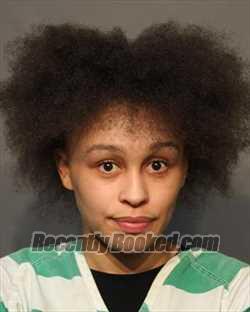 Booking photo from Polk County, Iowa