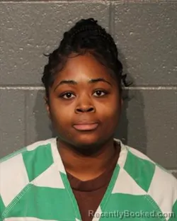 Mugshot of DESTINI CAPRI WYNTER