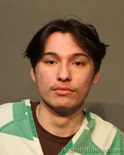 Mugshot of ENVY INNOCENCE LOUDNER