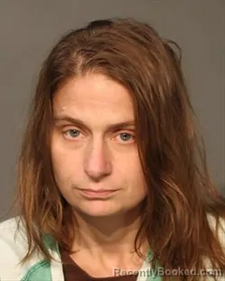 Mugshot of Megan Adele Dains booked in Polk County, Iowa on August 22, 2026