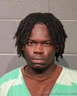 Mugshot of DHUL MANUT WOL