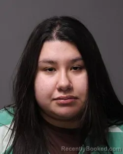 Booking photo from Polk County, Iowa