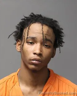 Mugshot of KARL RICHARD III HALL