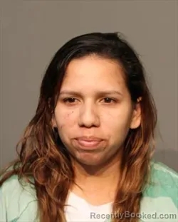 Mugshot of WENDY CAROLINA FLORES SUAREZ