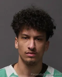 Mugshot of NATHAN LEE NOVOTNY