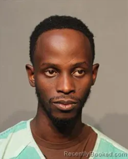 Mugshot of SIDNEY OBOTH OCHAN