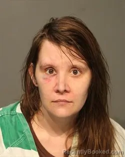 Mugshot of Stephenie Lee Ward booked in Polk County, Iowa on October 6, 2026