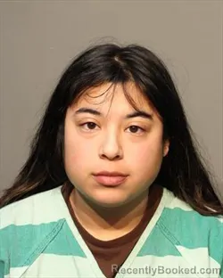 Mugshot of ASHLEY HAYDEE ACEVEDO booked in Polk County, Iowa on March 11, 2026