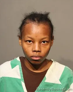 Booking photo from Polk County, Iowa