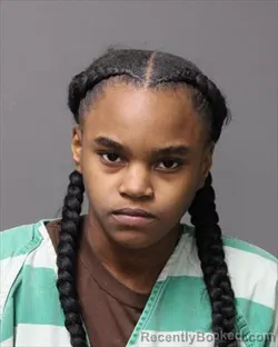 Booking photo from Polk County, Iowa