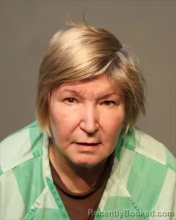 Mugshot of CYNTHIA ANN BURRIS