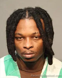 Mugshot of DARNELL FONTE JR MARTIN