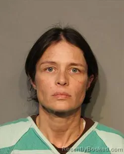 Booking photo from Polk County, Iowa