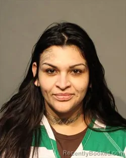 Booking photo from Polk County, Iowa