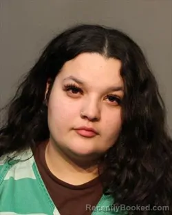 Mugshot of ESTRELLA ARACELI MENDEZ