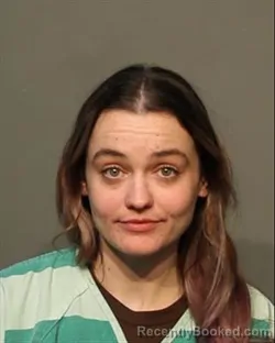 Mugshot of LILY ANN WILLIAMS