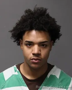 Mugshot of ANDREW SOLOMON SYSE