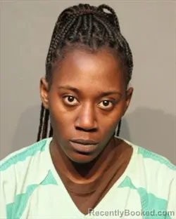 Booking photo from Polk County, Iowa