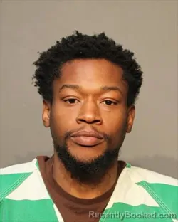 Mugshot of CARLENS JEPHTEY MICHAUD