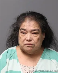 Booking photo from Polk County, Iowa