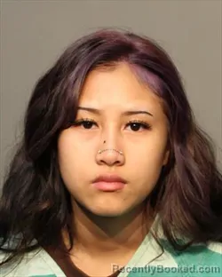 Mugshot of KHIN PO RIN LIN